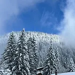 Con Vista Appartement Villars-sur-Ollon