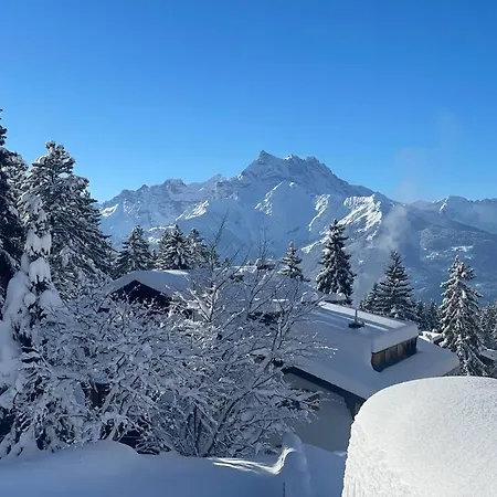 Apartment Alpine Heaven - In *