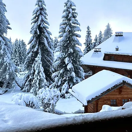 Alpine Heaven - In * Villars-sur-Ollon