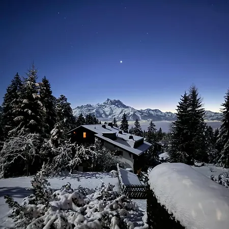 Alpine Heaven - In Apartment Villars-sur-Ollon