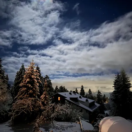 Alpine Heaven - In