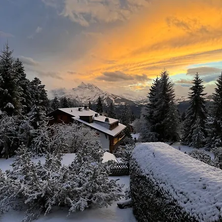 Alpine Heaven - In Apartment