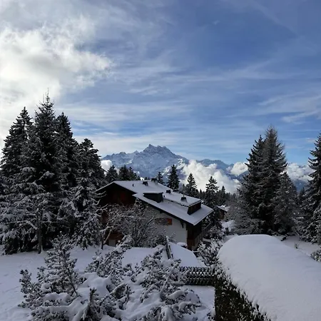Alpine Heaven - In Apartment *