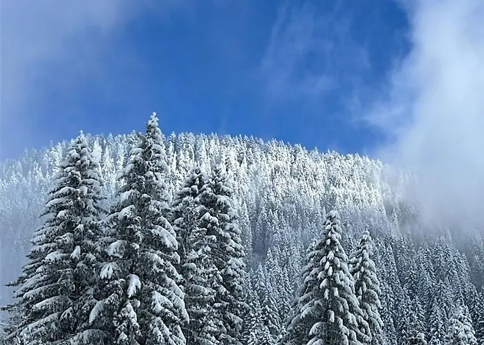 Con Vista Διαμέρισμα Villars-sur-Ollon