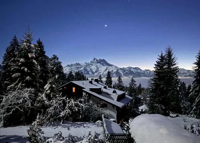 Con Vista Apartment Villars-sur-Ollon